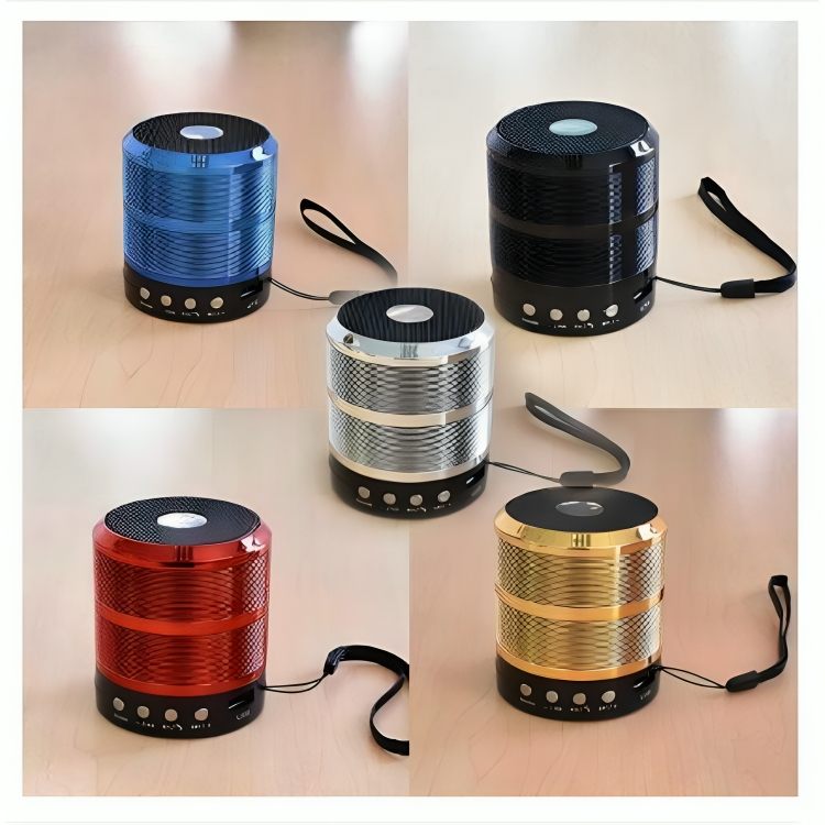 portable wireless speaker WS-887